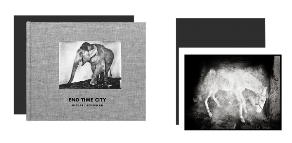 End Time City - Limited edition - Horse
