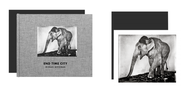 End Time City - Edition limitée - Elephant