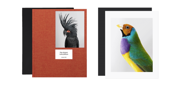 Des oiseaux - Limited edition