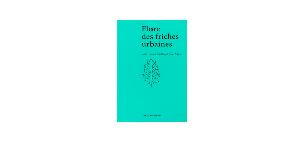 Flore des friches urbaines