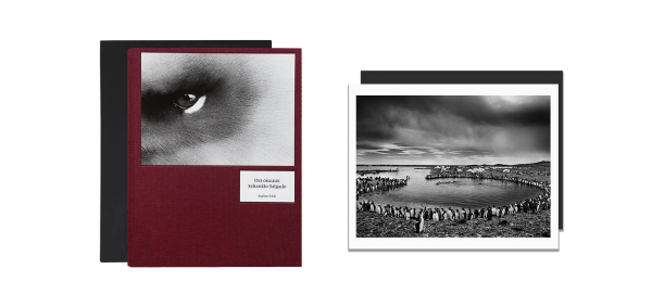 Des oiseaux - Sebastião Salgado - Édition limitée