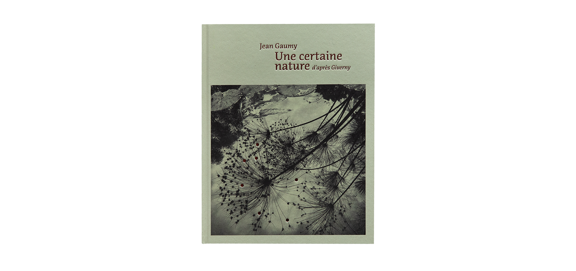 A Certain Nature, after Giverny