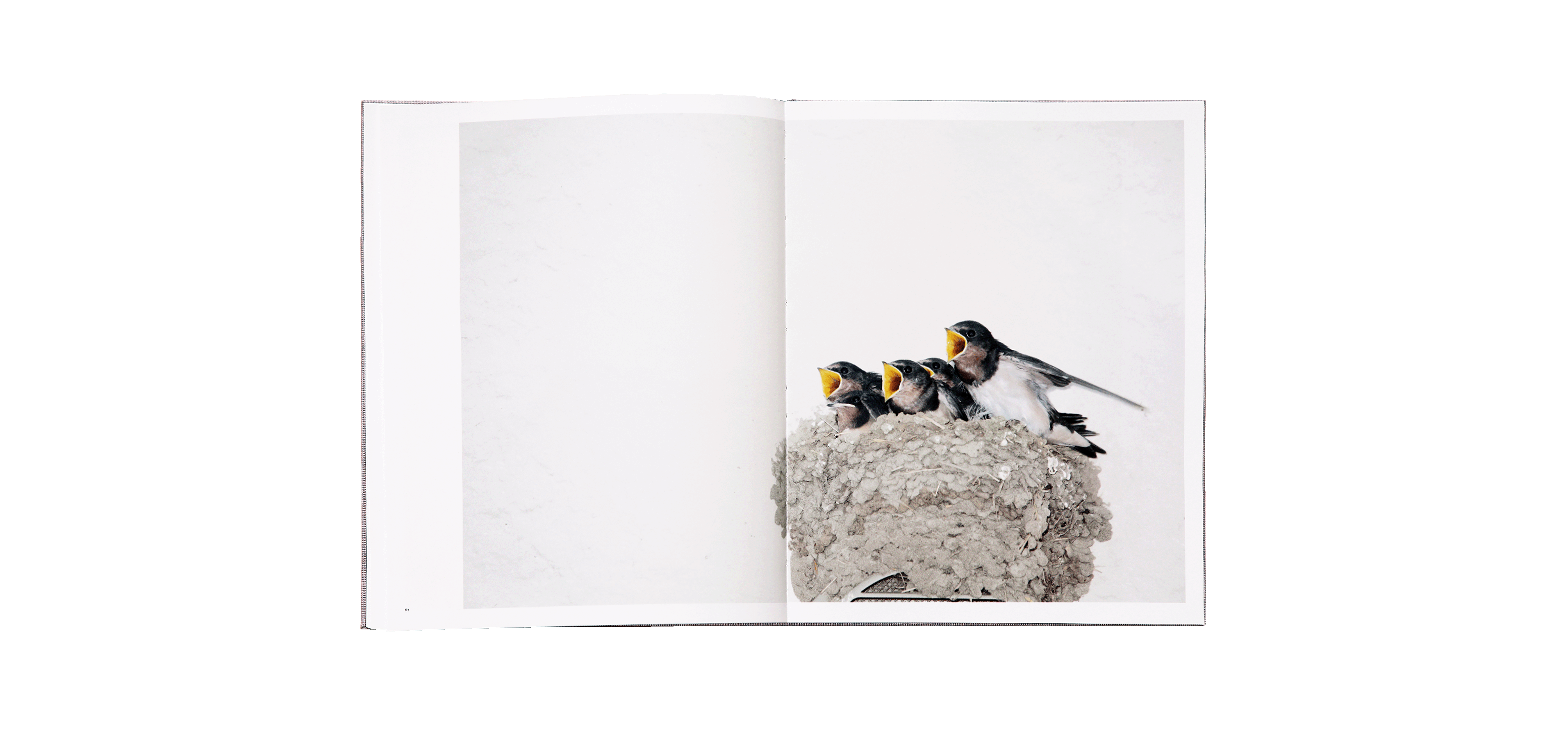 Des oiseaux - Rinko Kawauchi - limited edition