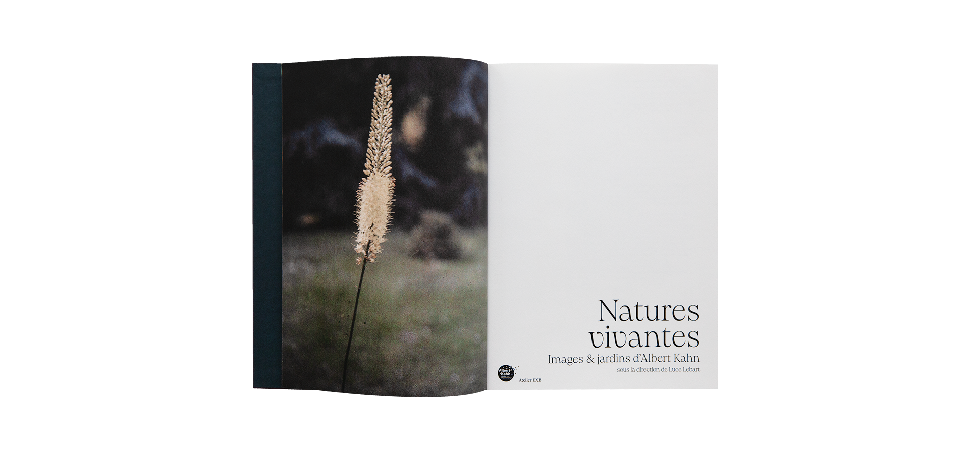 Natures Vivantes, Images & jardins d'Albert Kahn