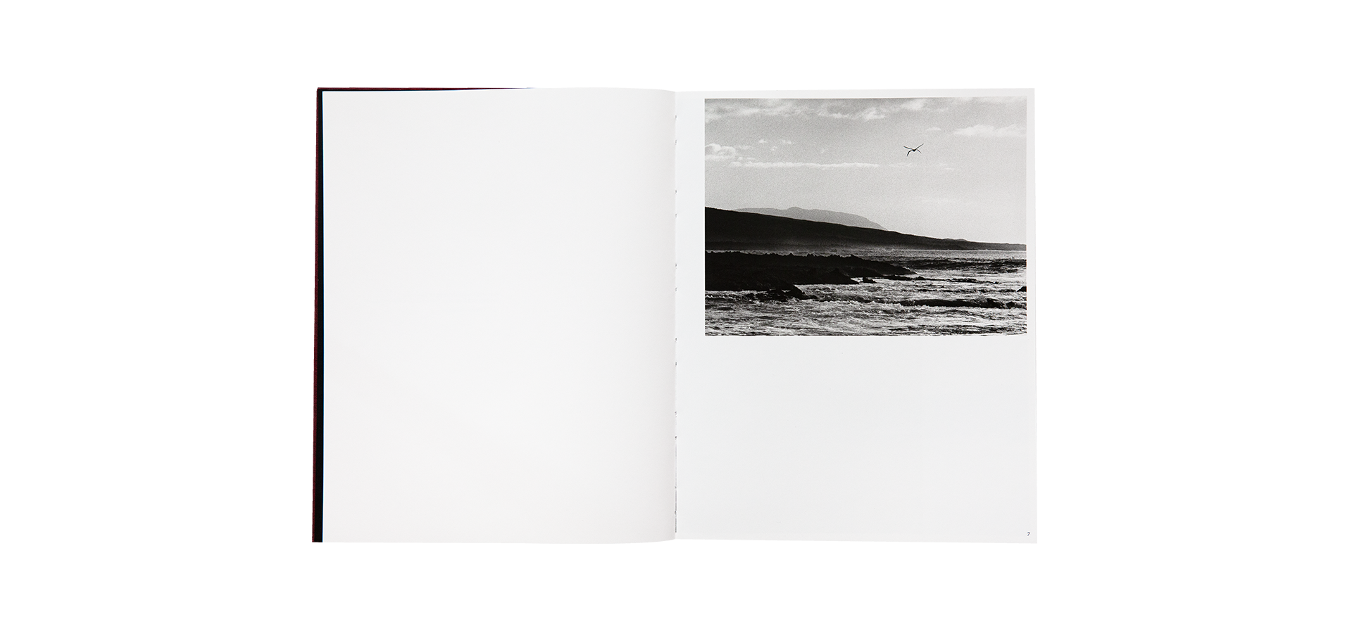 Des oiseaux - Sebastião Salgado - Limited edition