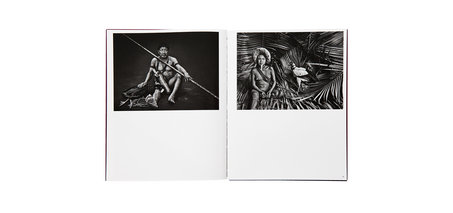 Des oiseaux - Sebastião Salgado - Édition limitée