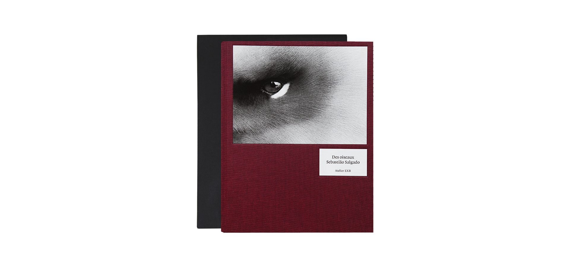 Des oiseaux - Sebastião Salgado - Limited edition