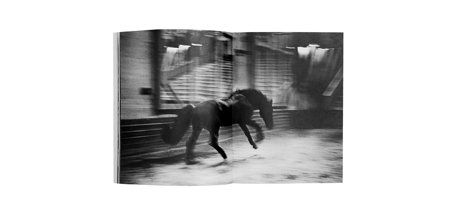 Horses