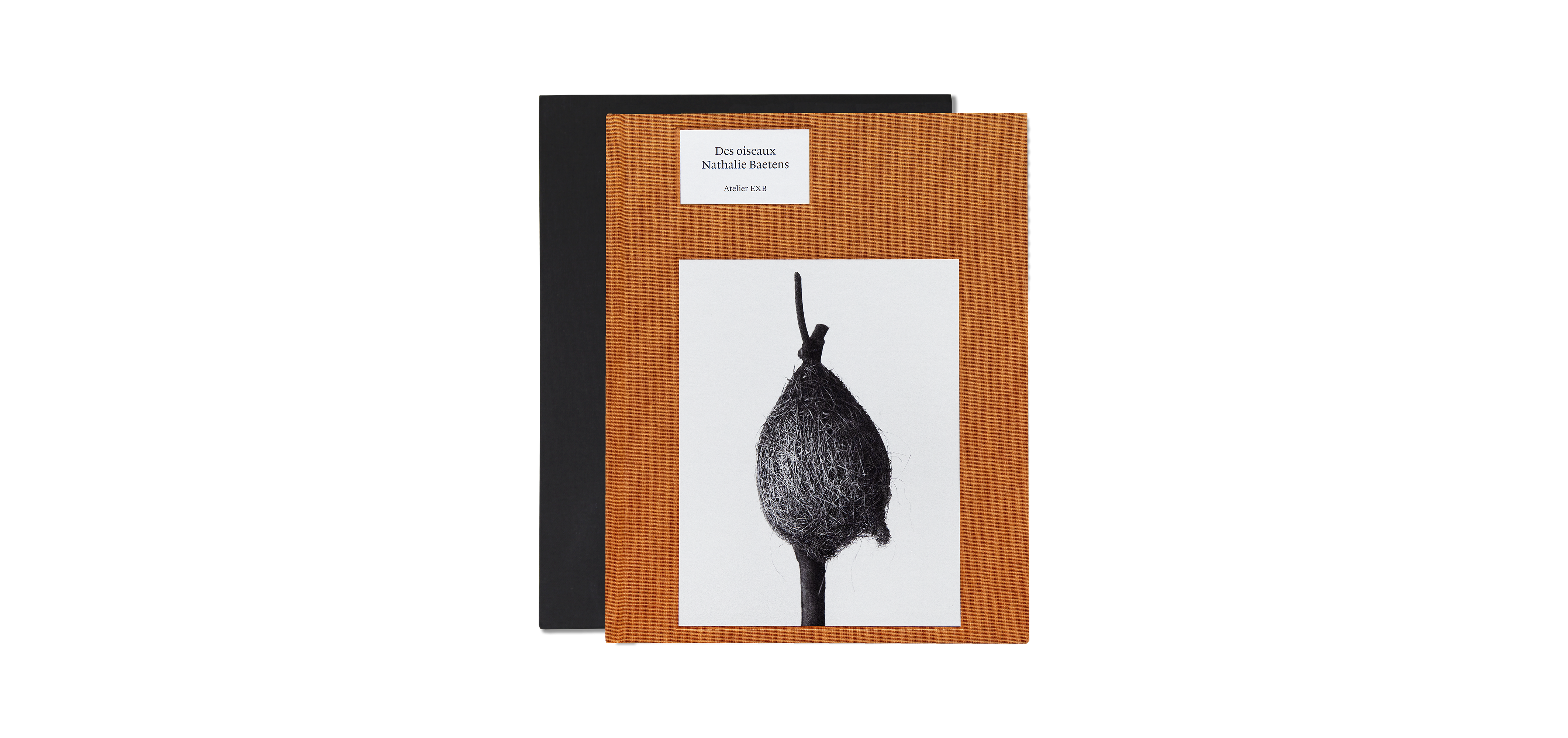 Des oiseaux - Nathalie Baetens - Édition limitée