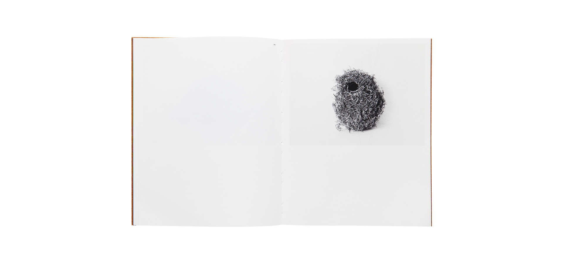 Des oiseaux - Nathalie Baetens - Édition limitée
