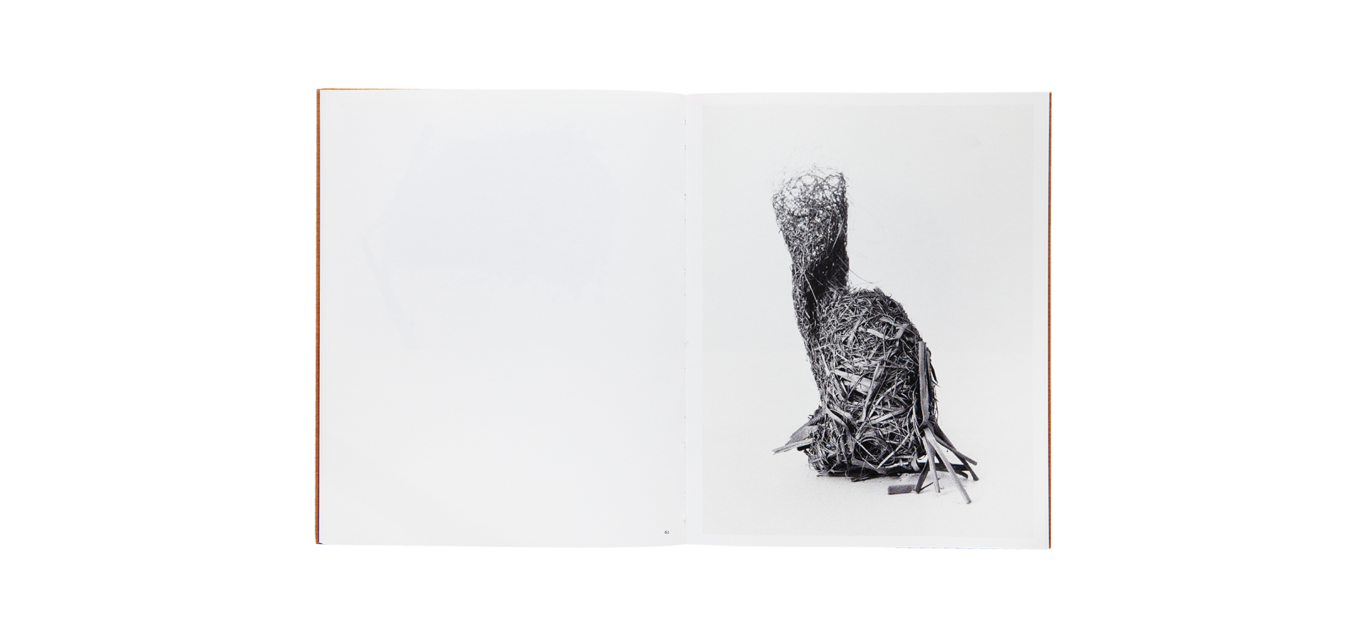 Des oiseaux - Nathalie Baetens - Édition limitée