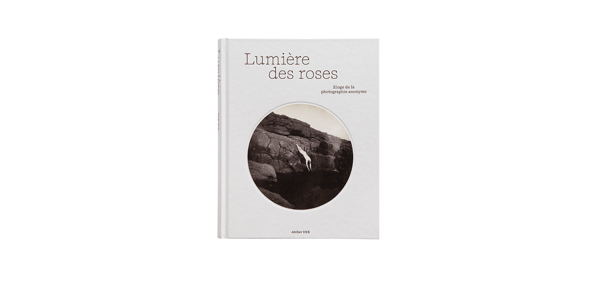 Lumière des roses. Éloge de la photographie anonyme