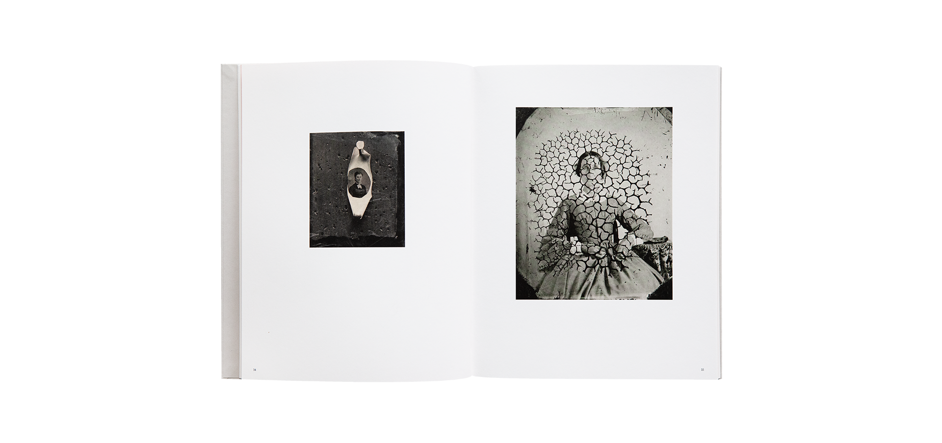 Lumière des roses. Éloge de la photographie anonyme