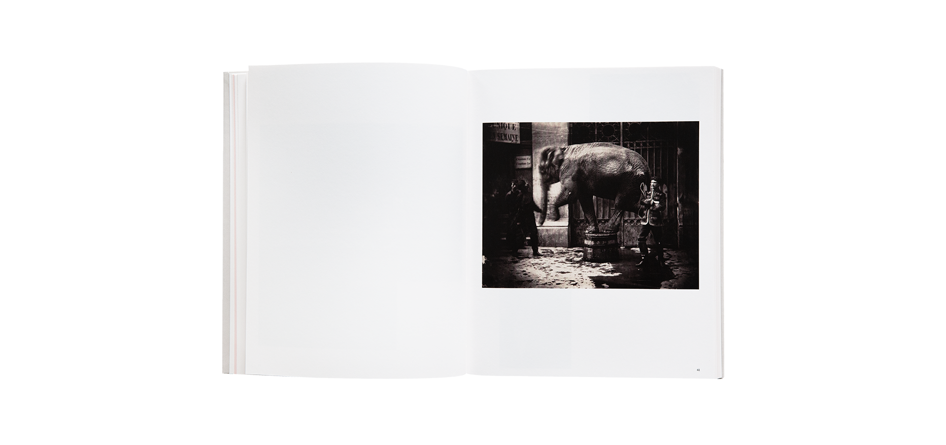 Lumière des roses. Éloge de la photographie anonyme