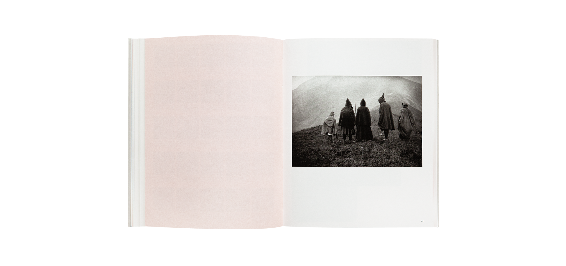 Lumière des roses. Éloge de la photographie anonyme
