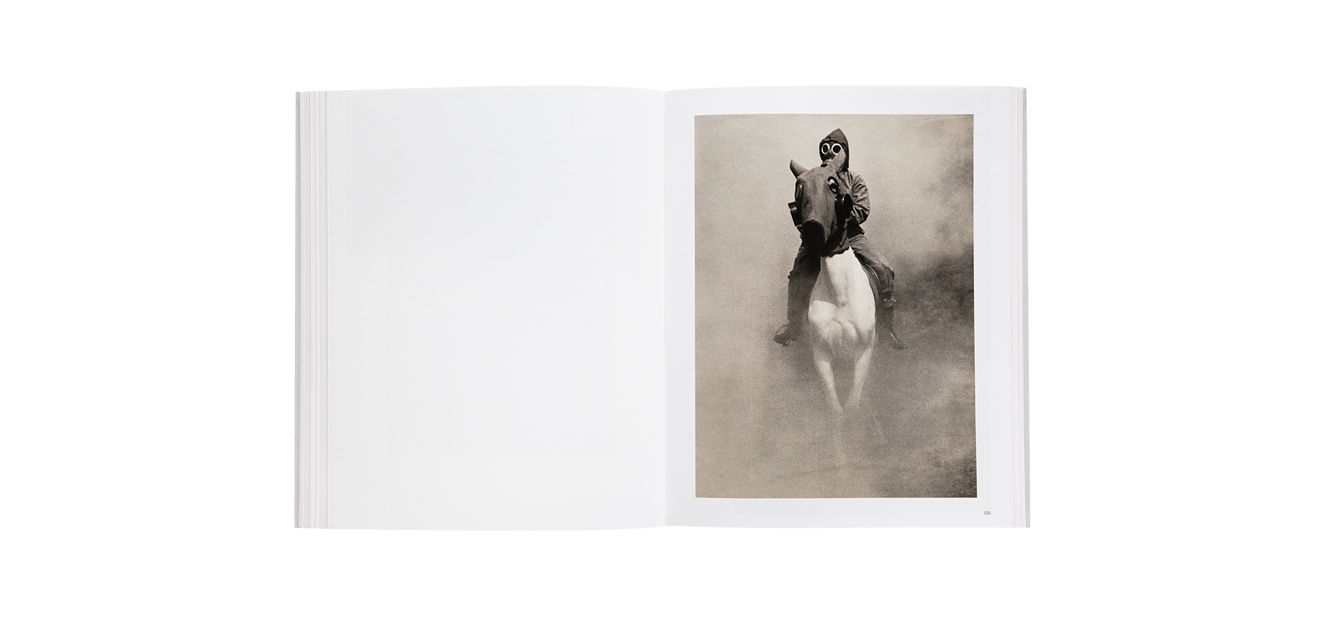 Lumière des roses. Éloge de la photographie anonyme