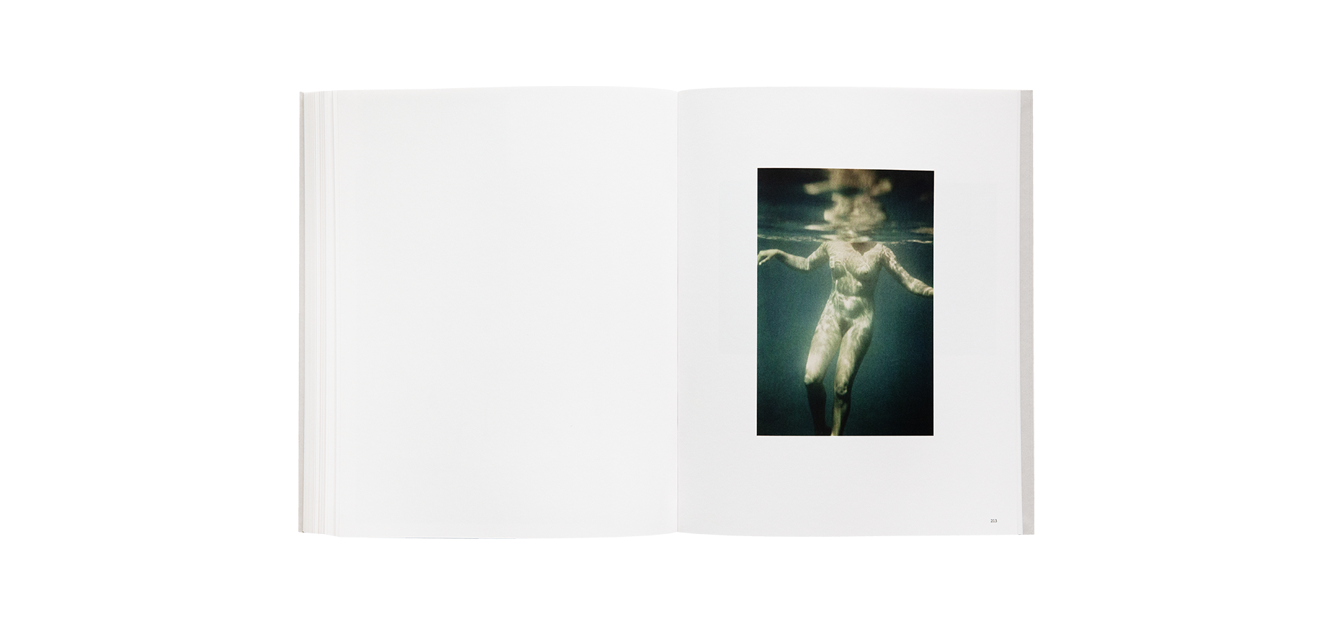 Lumière des roses. Éloge de la photographie anonyme