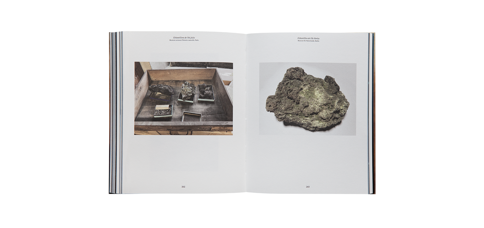 Ferdinandea, the Ephemeral Island