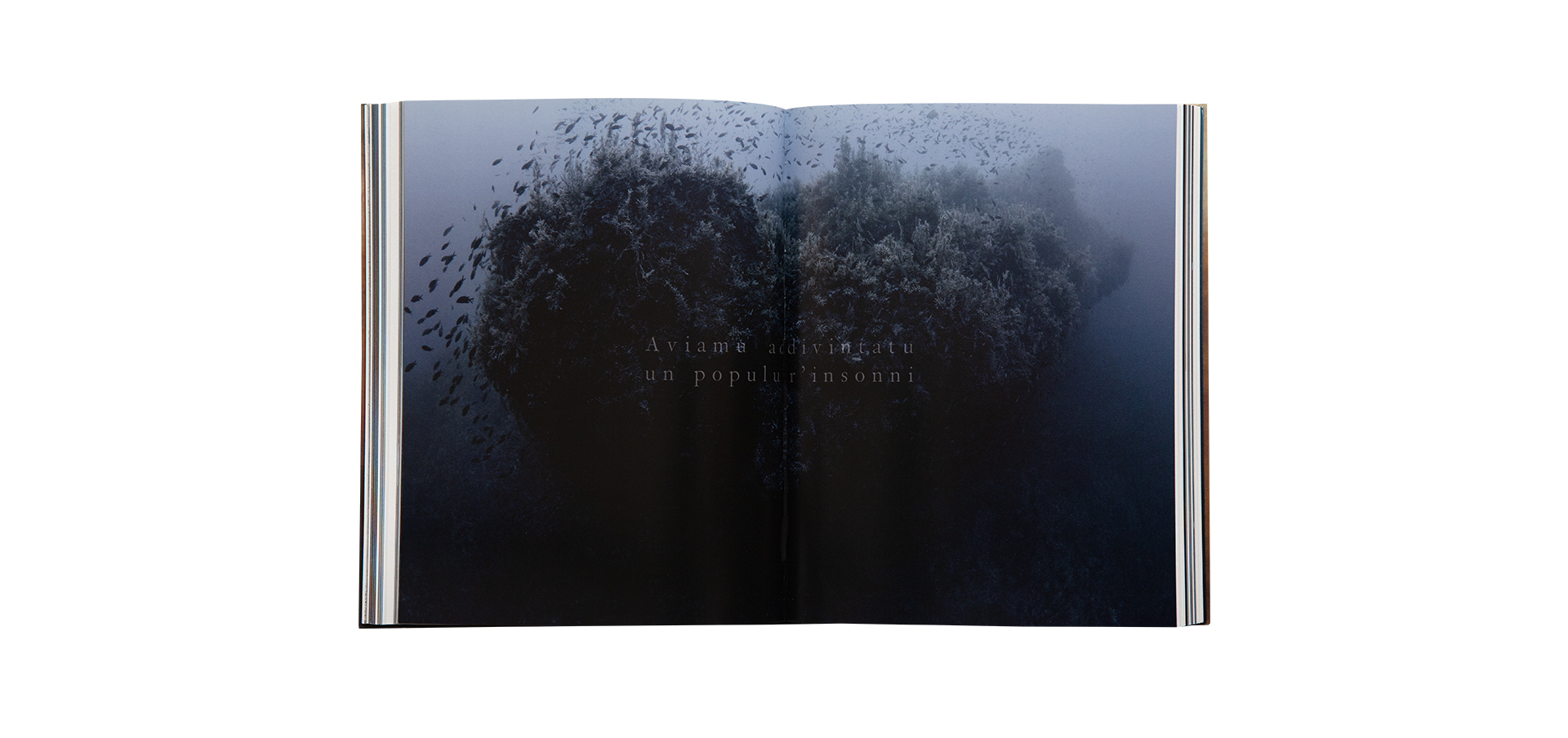 Ferdinandea, the Ephemeral Island