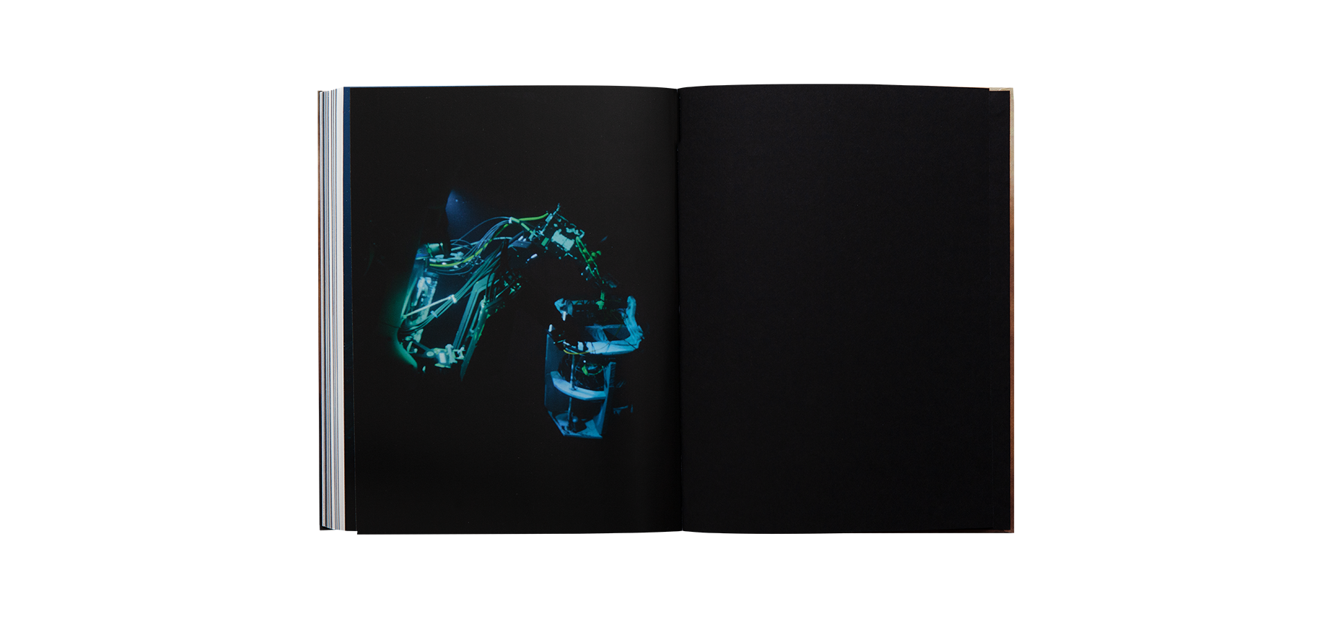 Ferdinandea, the Ephemeral Island