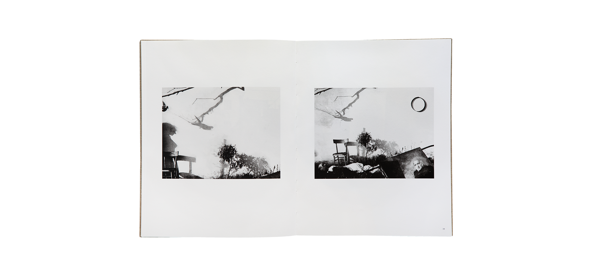 Des oiseaux - Mario Giacomelli