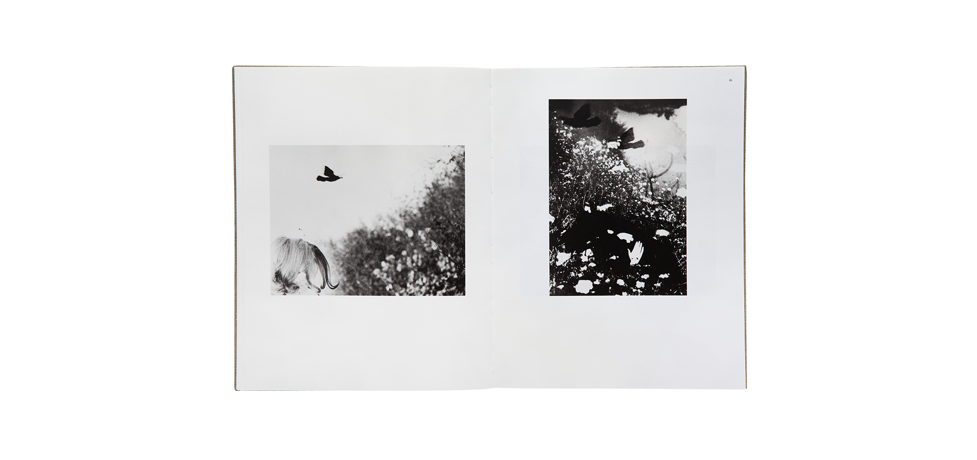 Des oiseaux - Mario Giacomelli
