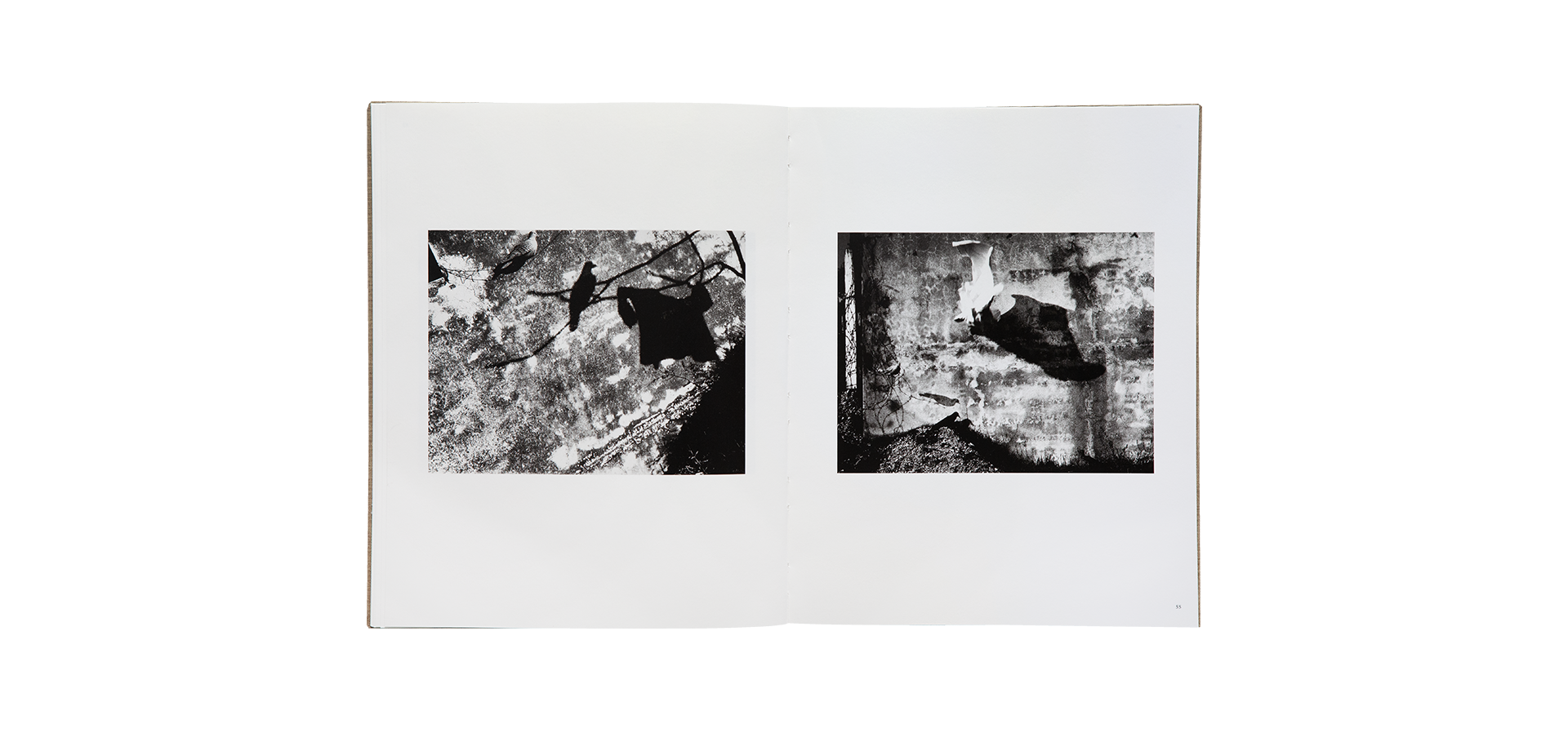 Des oiseaux - Mario Giacomelli - Édition limitée