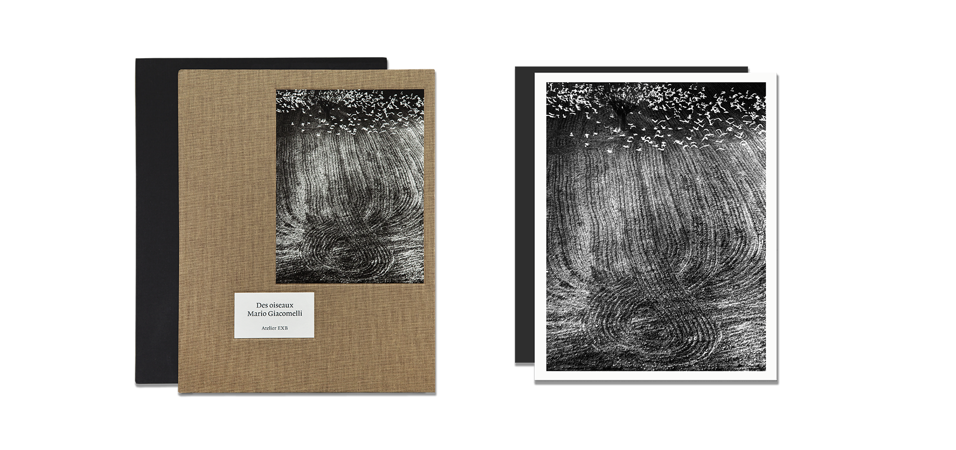 Des oiseaux - Mario Giacomelli - Édition limitée