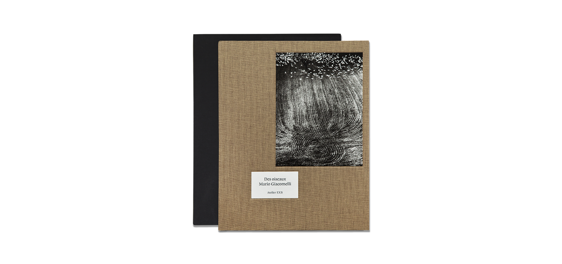 Des oiseaux - Mario Giacomelli - Édition limitée