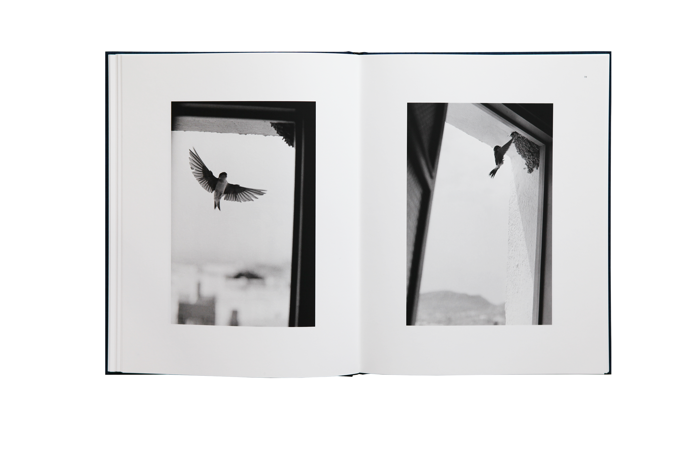 Des oiseaux - Bernard Plossu - limited edition